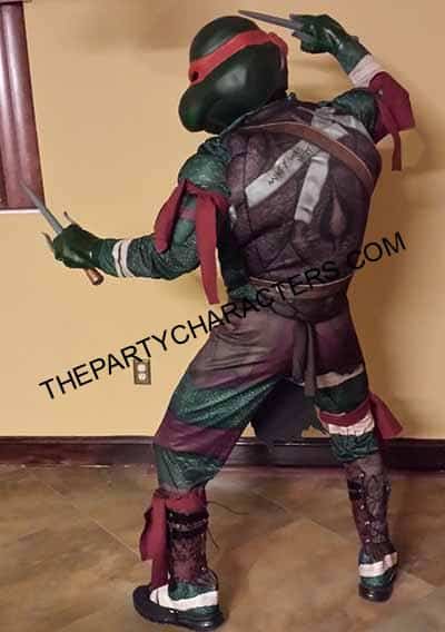 Ninja Turtle character parties